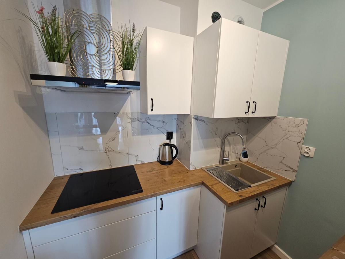 Michalczyka Apartament ヴロツワフ エクステリア 写真